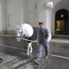 Wienwoche 029